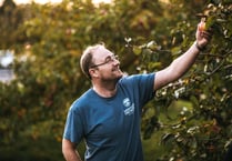 Devon's wet summer is a boost for cider business
