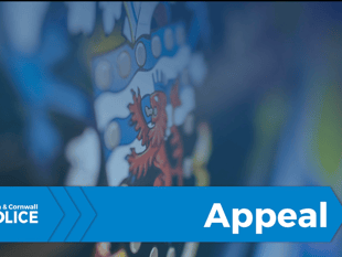 Police appeal after serious assault at South Molton
