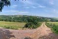 Couple given permission to live with alpacas in Mid Devon despite objections
