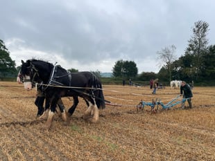 Entries invited for ploughing match and produce show
