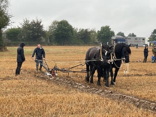 Schedules available for ploughing match classes
