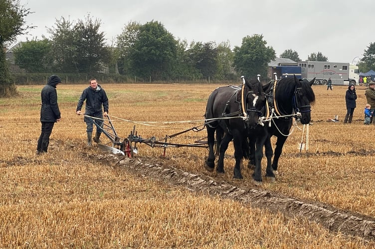 Images from Cheriton Fitzpaine and District Ploughing Match and Produce Show.
