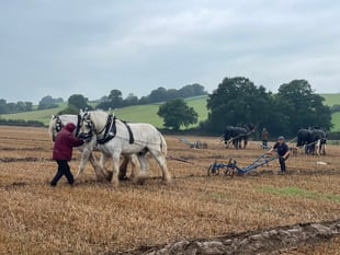 Want to join Cheriton Fitzpaine Ploughing Association?
