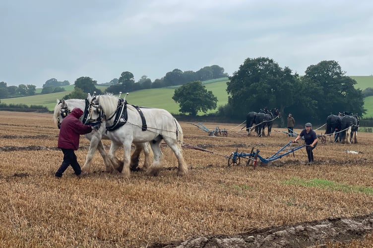 Images from Cheriton Fitzpaine and District Ploughing Match and Produce Show.