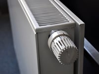 New policy to tackle damp and mould in Mid Devon council homes
