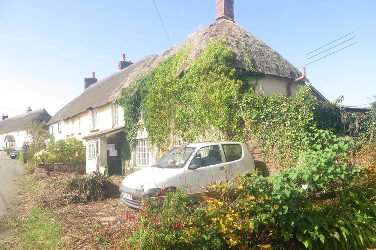 Bell Cottage with the vegetation cleared and district council notices pinned on the front door. The car had been parked there all the time. SR 3376