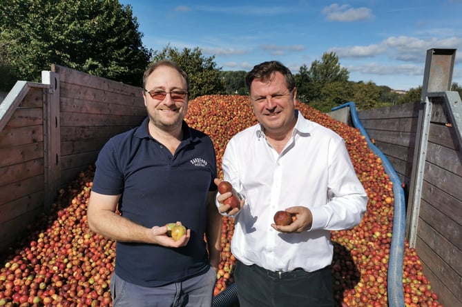 Barny Butterfield and Mel Stride MP during the visit to Sandford Orchards.