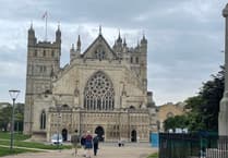 Police appeal following assault in Exeter