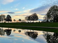 Get snapping and win prizes in Exeter tree photography competition
