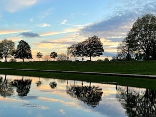 Get snapping and win prizes in Exeter tree photography competition
