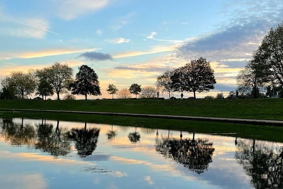 Exeter tree photography competition.