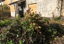 Mid Devon District Council boards up neglected cottage
