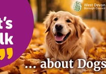 West Devon Borough Council consults on dog control
