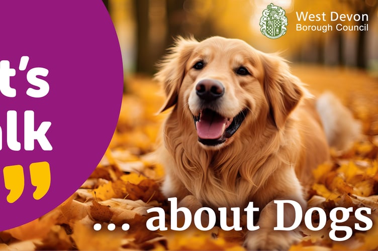 Let’s talk about dogs.