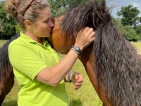 New member of the team at The Dartmoor Pony Heritage Trust charity