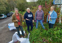 Cheriton Fitzpaine Garden Club
