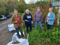 Cheriton Fitzpaine Garden Club
