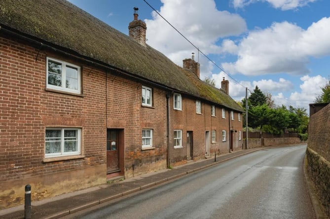 cheapest crediton