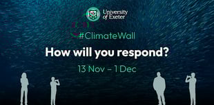 Climate Wall art projection at the University of Exeter ahead of COP28