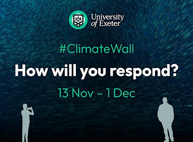 Climate Wall art projection at the University of Exeter ahead of COP28