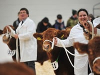 Video: Agrifest ploughs new path for Devon farmers