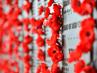 Observance of Armistice Day in Crediton with the Royal British Legion
