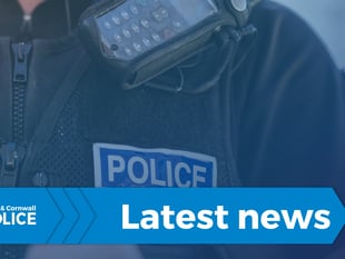 Police warn about chicken at Westward Ho!
