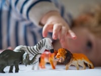 Fewer families can foster children in Devon as numbers decline across the country