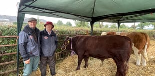 Farm fires across Devon increase: Crediton farmers comment
