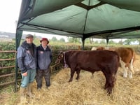 Farm fires across Devon increase: Crediton farmers comment
