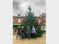 Crediton Town Square tree in place thanks to four local stalwarts
