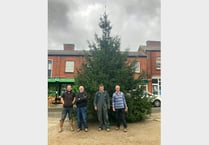 Crediton Town Square tree in place thanks to four local stalwarts
