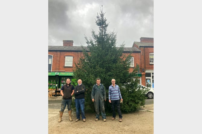 In front of the Town Square Christmas Tree after they put it in place, Jake Wood, Joe Ward, Roger Lee and Roger Pennington.
