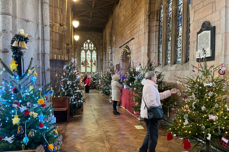 At last year’s Christmas Tree Festival in Crediton Parish Church.