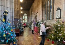 Crediton Parish Church Christmas Tree Festival really starts the festive season
