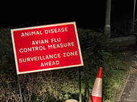 Avian flu confirmed near Tiverton
