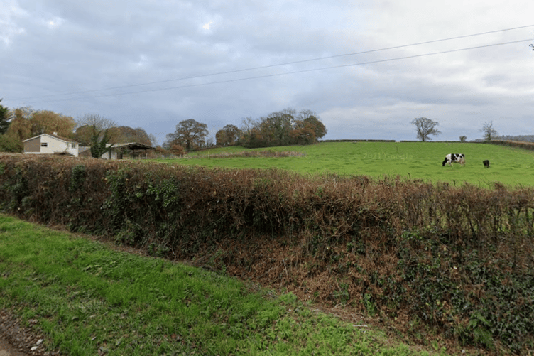perriton barton farm