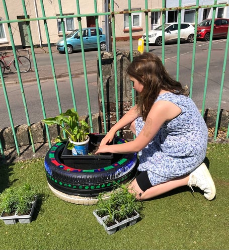 Creating and planting a garden.