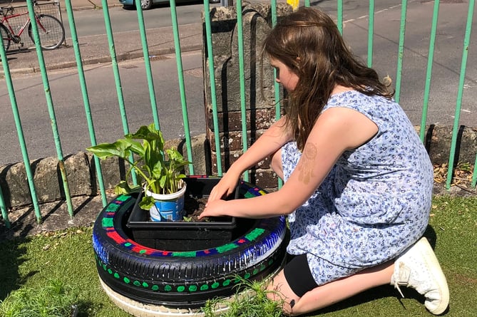 Creating and planting a garden.
