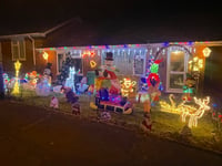 Christmas lights display at Sandford lit this year for FORCE
