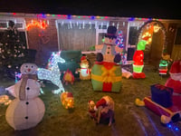 Christmas lights display at Sandford lit until January 6 for FORCE
