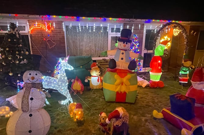 A part of the Christmas Lights display at 41 Meadowside, Sandford.  AQ 1285
