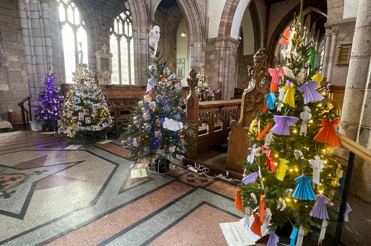 Some of the trees in Crediton Parish Church.  AQ 1481