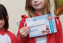 Gold Award for Crediton Rainbow Anabelle and Silver for Sophia
