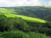 Councils continue to show enough land for housing with new report
