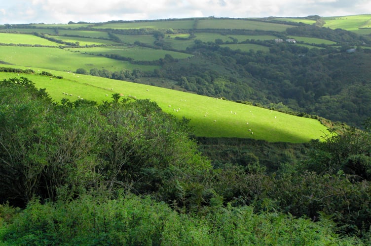 North Devon Fields.