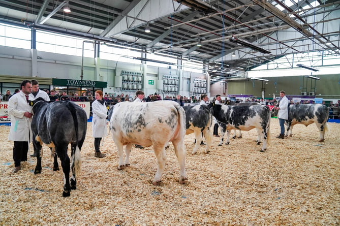 Devon YFC Annual Livestock Show and Sale at Exeter Market.