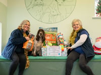 Crediton veterinary practice bringing Christmas cheer to pets in need
