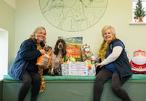 Crediton veterinary practice bringing Christmas cheer to pets in need
