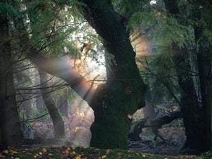 Photography exhibition to raise funds for Food Larder